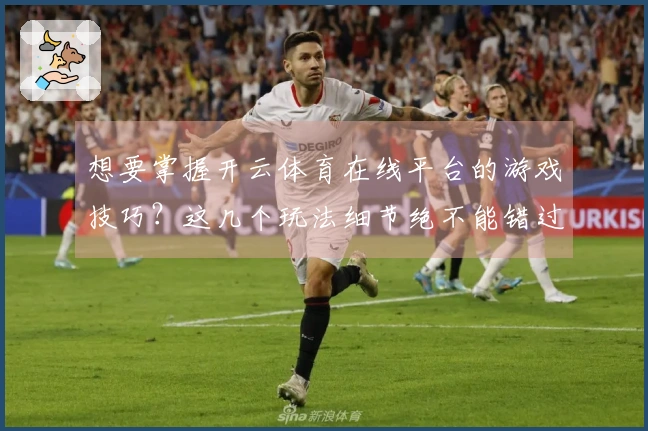 想要掌握开云体育在线平台的游戏技巧？这几个玩法细节绝不能错过！