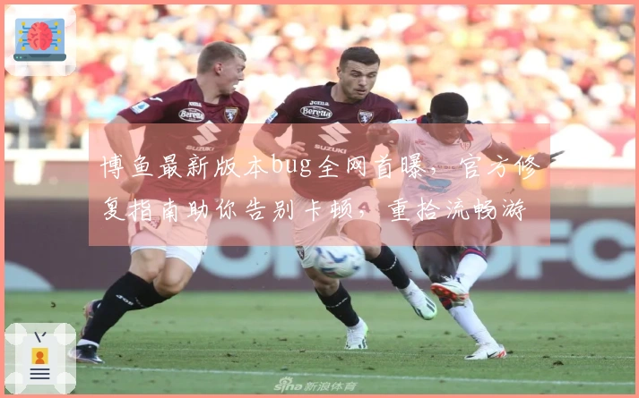 博鱼最新版本bug全网首曝，官方修复指南助你告别卡顿，重拾流畅游戏体验