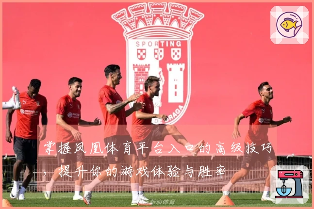 掌握凤凰体育平台入口的高级技巧，提升你的游戏体验与胜率